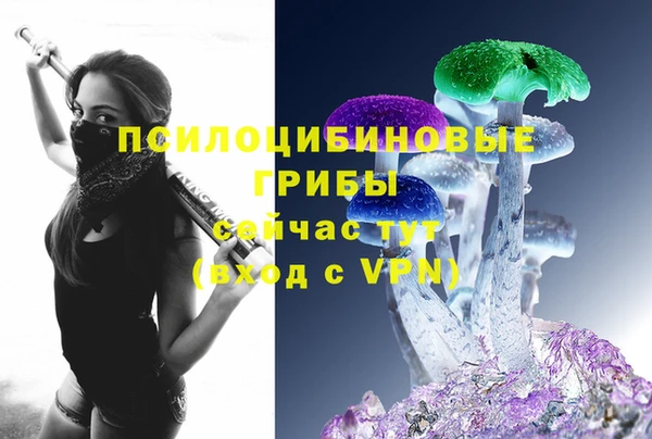 PSILOCYBIN Ростов